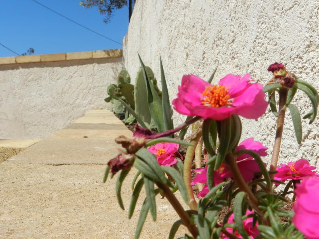 Вилла The White Rocks Lido di Noto Экстерьер фото